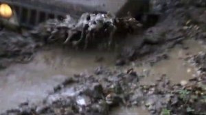 Нива & Сузуки Эскудо(покатушки)