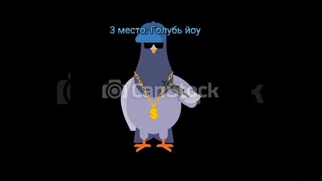 Топ 5 крутых голубей смотреть онлайн