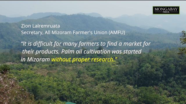 Palm oil in Mizoram: a balancing act between ecological threat and economic promise смотреть онлайн