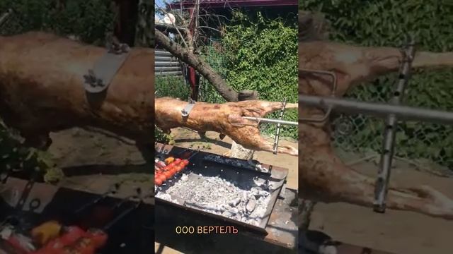 ООО ВЕРТЕЛЪ Автоматический вертел для жарки барашка смотреть онлайн