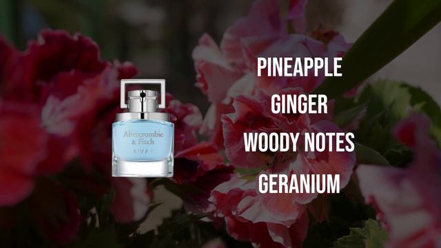 HUGE Fragrance Haul You Need To See! - Hidden Gem Bargain or Bust? смотреть онлайн