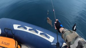 Ловля камбалы и симы в Уссурийском заливе