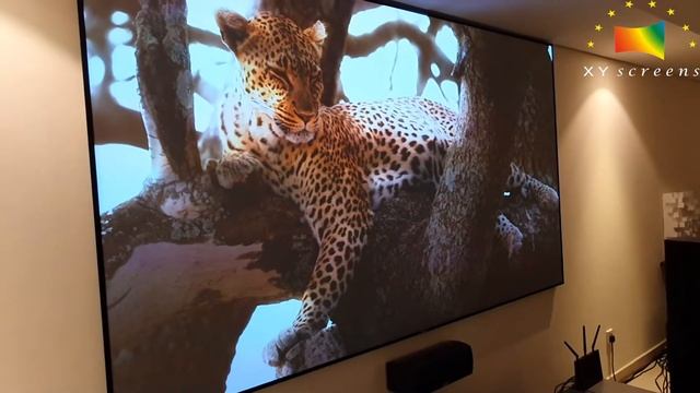 120inch ALR PET Crystal With VaVa 4k Projector (Sibyl@xy-screen.com)