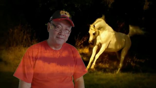 "ЧАС ПОЭЗИИ 9" "Лихой казак, спасая атамана" читает Виктор Ли. смотреть онлайн