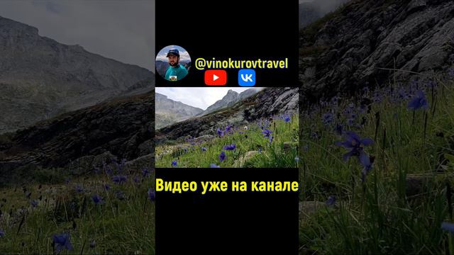 Алтай! #дмитрийвинокуров смотреть онлайн