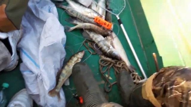 Астрахань 2019 смотреть онлайн