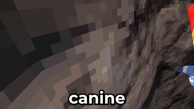 I used MODS to MAKE LAVA RISE...(Gorilla Tag) смотреть онлайн