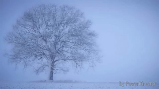 Vladislav Buben feat Zhu Zhu ambient У лісі лісі темному смотреть онлайн