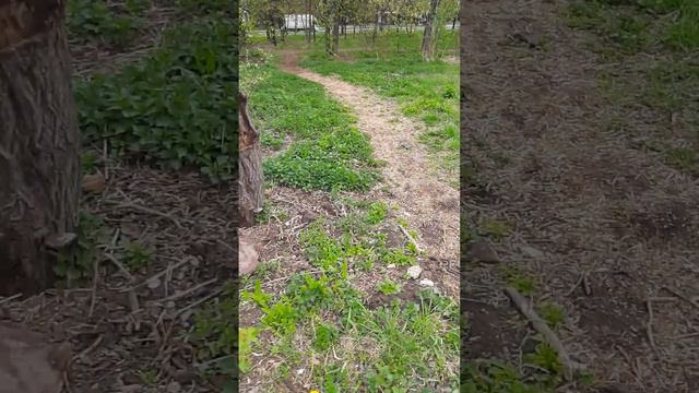 строительный мусор на оопт, 28.04.23, 10:00, @mospriroda смотреть онлайн