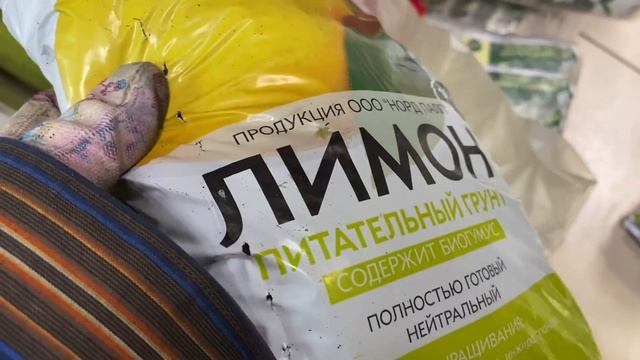 Работаю • поставка товара смотреть онлайн