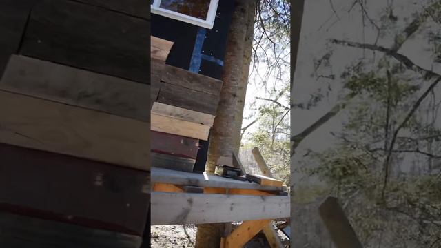 The Treehouse Part 2￼ смотреть онлайн