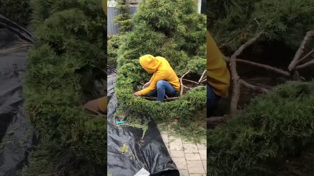 Когда в руках случайно оказался инструмент) смотреть онлайн
