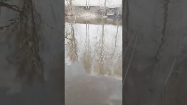 Рыбалка руками на реке Оша?29.04.21 г. смотреть онлайн