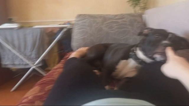 VLOG: Всем привет! Я беременна! 10.03.2022г смотреть онлайн