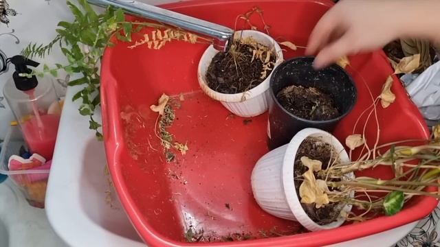 Разбираемся с балконом, часть 1 смотреть онлайн