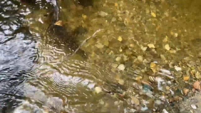 Яшма или нет? Где молоток? (Молоток -лучший помощник для определения минерала ) ? смотреть онлайн