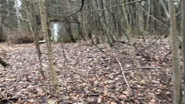 Первая рыбалка в 2020 году. На Черной Речке. Нашли заброшенную базу отдыха. Лысый ловит деревья. смотреть онлайн