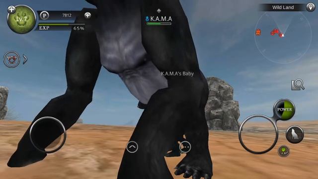 Wild animals online gorilla simulator смотреть онлайн