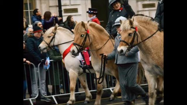 London New Years Day Parade 2015 Fjord Horses comp смотреть онлайн