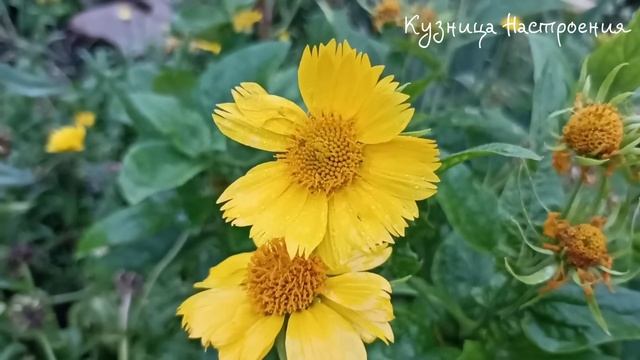 5 ноября День Якова. Что нельзя делать 5 ноября День Якова. Народные традиции и приметы. смотреть онлайн