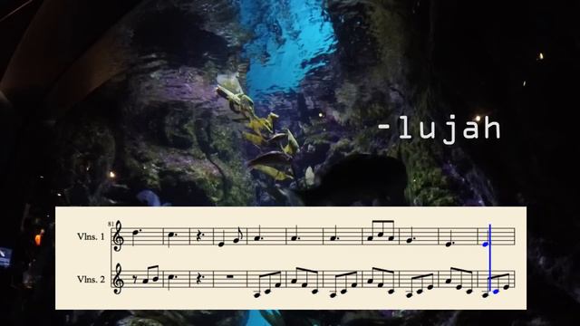 Hallelujah - VIOLIN COVER For 2 Violins (with Sheet Music) - W/ 4K GoPro Random Scenes