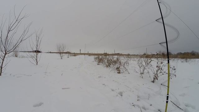 Ловля певчих птиц. Трофейный щегол, зеленцы. Последний зимний видос. смотреть онлайн