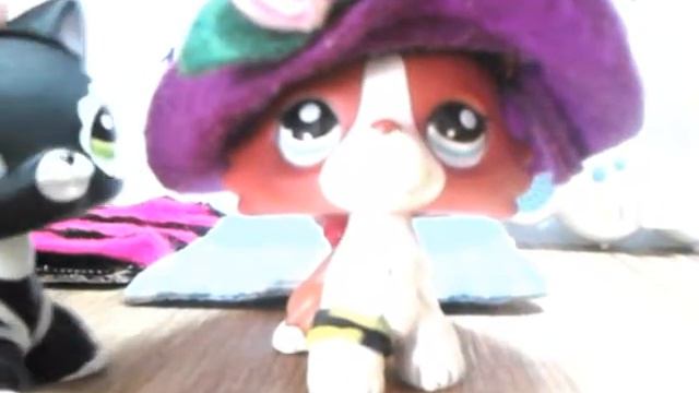 Суматоха перед Правда или действие смотреть онлайн