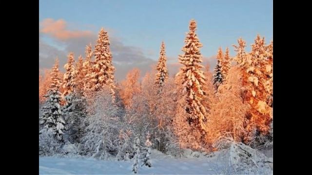 Зимний лес смотреть онлайн