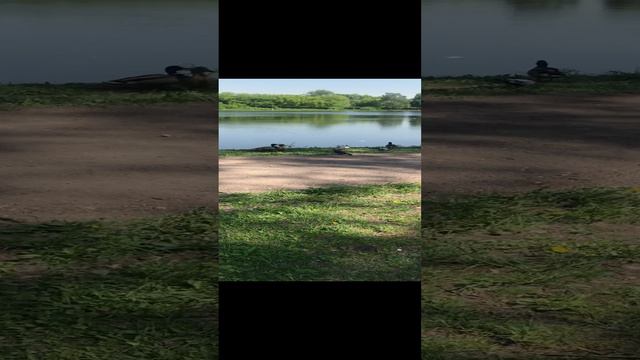 Москва. Головинский пруд смотреть онлайн