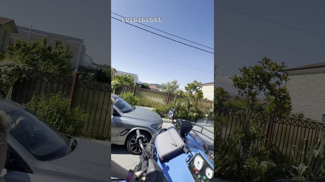 Кароль на прогулке по олимпийскому парку