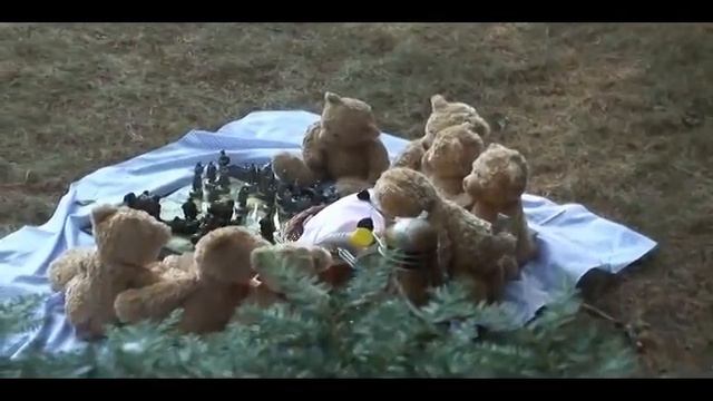 Teddy Bears' Picnic смотреть онлайн