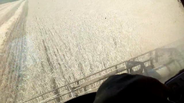 Шабашка . смотреть онлайн