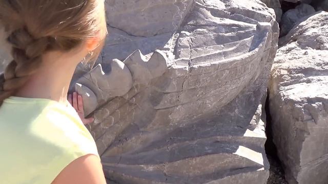 Путешествие в Италию. Адриатическое море #371 смотреть онлайн