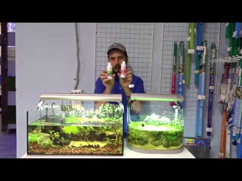 Что едят растения на завтрак, обед и ужин? смотреть онлайн