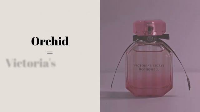 Zara Perfume Dupes 2024: the Ultimate List смотреть онлайн