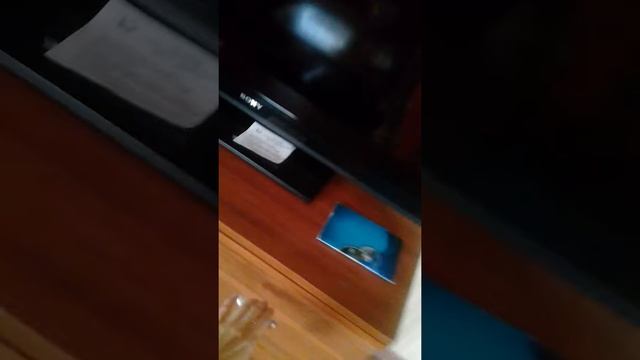 СОК Фрегат Дружная семья смотреть онлайн