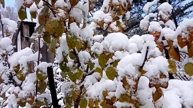 Зимнее утро. смотреть онлайн