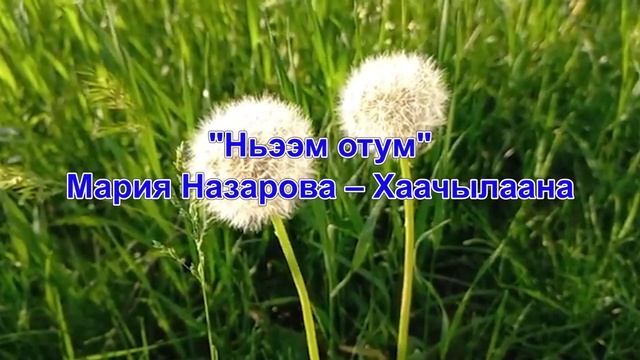 Дьуьуйуу Току ньээм Хаачылана смотреть онлайн