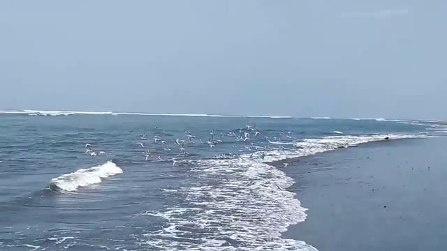 Новое открытие мира. Перу. 6 день. Трухильо. смотреть онлайн