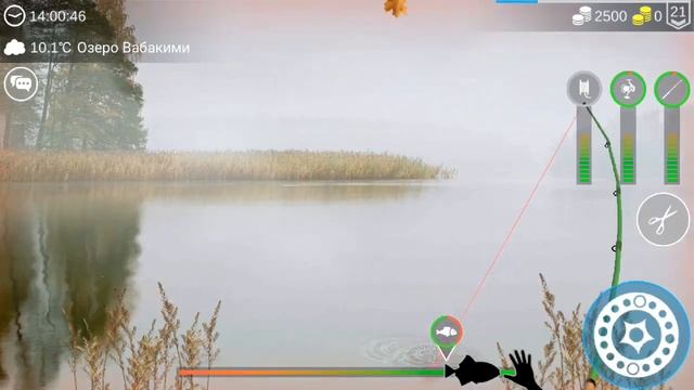 Попытка поймать рыб монстров : каменного призрака и рыбу-каплю! смотреть онлайн