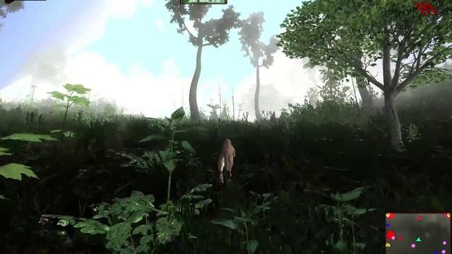 Untamed: Life Of A Cougar [Gameplay, PC] смотреть онлайн