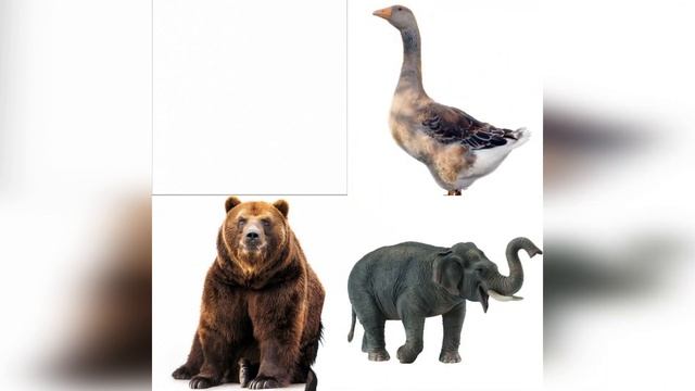 Игра "Кто лишний?" (Подготовила Кустова Н.И.) смотреть онлайн