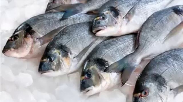 Я офигела, узнав из чего ДЕЛАЮТ БЛЕСК ДЛЯ ГУБ!! смотреть онлайн