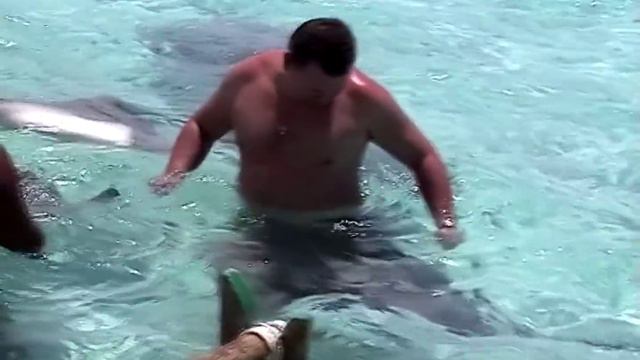 Скаты на «Бора Бора». Stingrays on «Bora Bora». سلالم على بورا بورا 보라 보라에 경사로 बोरा बोरा पर रैंप смотреть онлайн