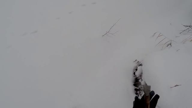 Ловля налима зимой на малых речках на жерлицы,видео rybachil.ru смотреть онлайн