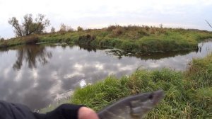 Ловля Щуки на реке Нерская. Рыбалка в Московской области. Maximus Ultimatum.