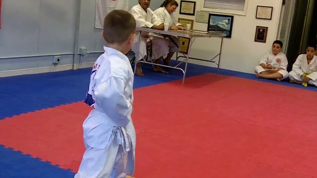 Mount Vernon Traditional Shotokan Karate-do -White Belt Test
