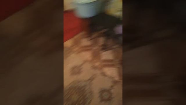 Любимое блюдо мужа смотреть онлайн