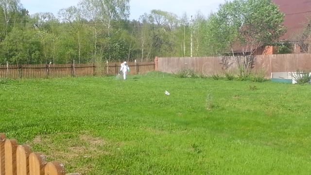 Акарицидная обработка участка от клещей смотреть онлайн