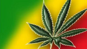 Каникулы Бонифация - тили бом